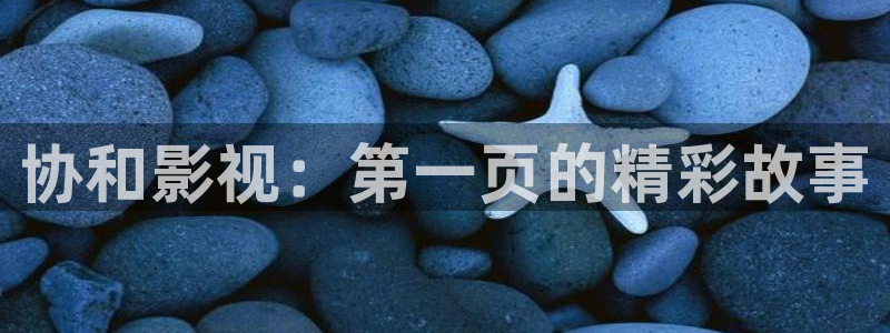 斑马影视大全：协和影视：第一页的精彩故事