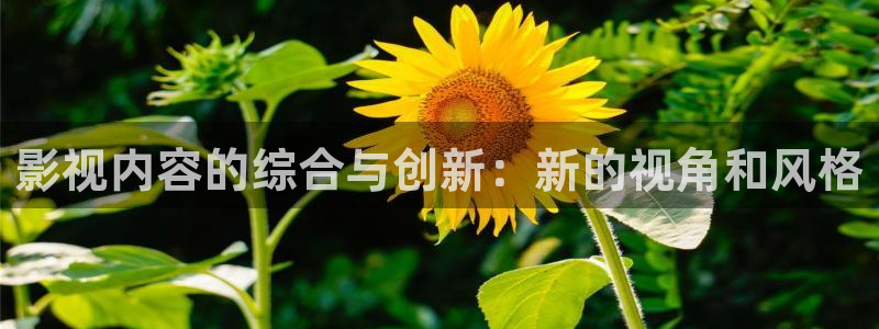 大斑马系统：影视内容的综合与创新：新的视角和风格