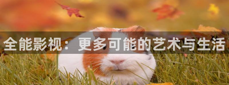 斑马 电影街：全能影视：更多可能的艺术与生活
