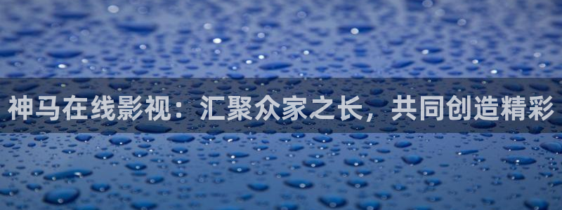 斑马ds4308：神马在线影视：汇聚众家之长，共同创造精彩