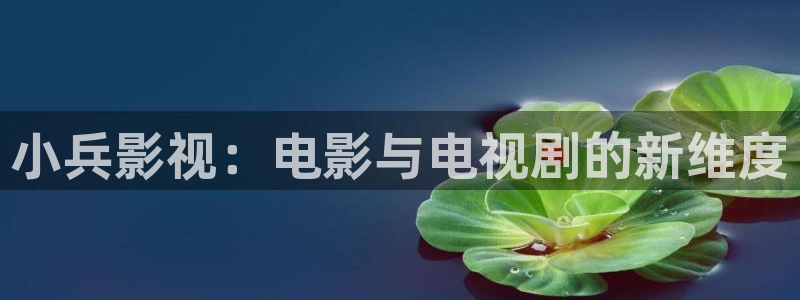 个斑马的：小兵影视：电影与电视剧的新维度