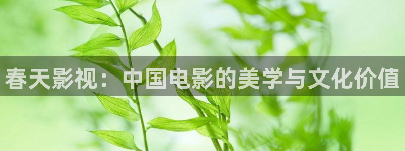 斑马电影完整版：春天影视：中国电影的美学与文化价值