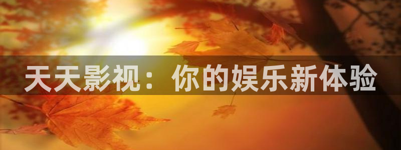 斑马视频：天天影视：你的娱乐新体验