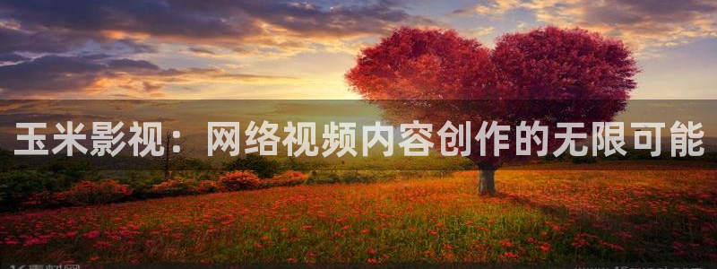 斑马网络：玉米影视：网络视频内容创作的无限可能