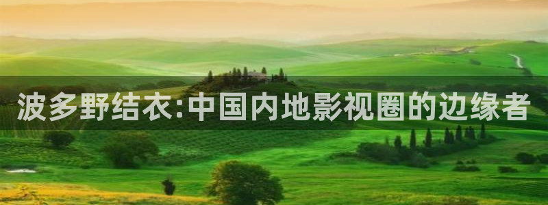 斑马100：波多野结衣:中国内地影视圈的边缘者