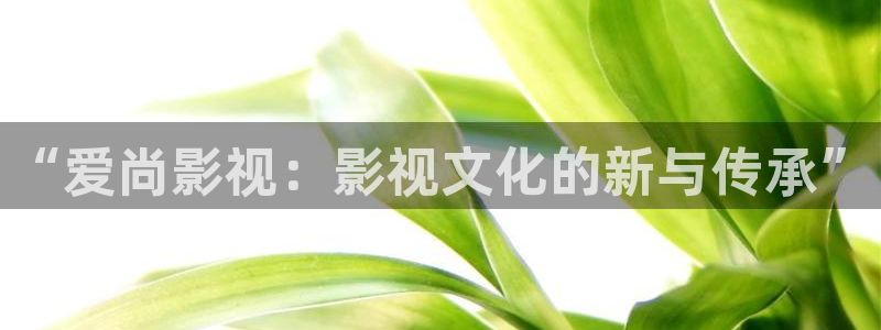 斑马电影免费版：“爱尚影视：影视文化的新与传承”