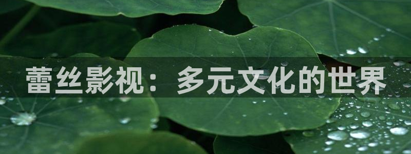 斑马ds457：蕾丝影视：多元文化的世界