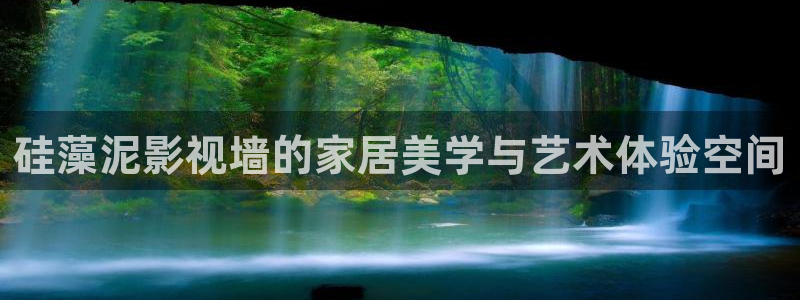 g10斑马系统视频：硅藻泥影视墙的家居美学与艺术体验空间