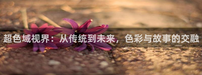 斑马105se：超色域视界：从传统到未来，色彩与故事的交融