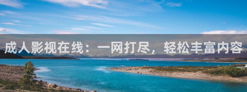 斑马ds9208：成人影视在线：一网打尽，轻松丰富内容
