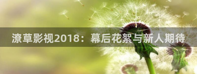 斑马tc200：潦草影视2018：幕后花絮与新人期待