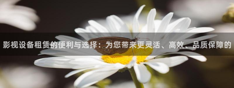 斑马电影免费观看：影视设备租赁的便利与选择：为您带来更灵活、高效、品质保障的