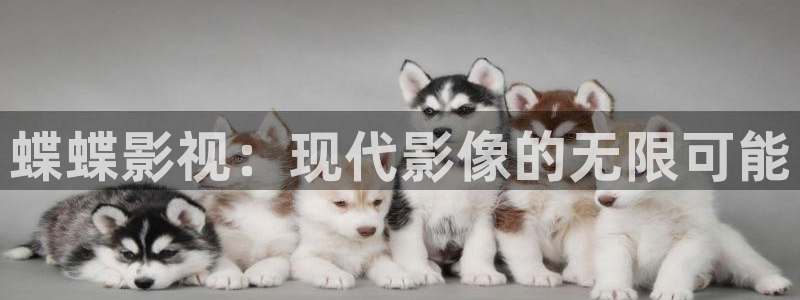 斑马系统3.0：蝶蝶影视：现代影像的无限可能